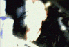 lita.gif